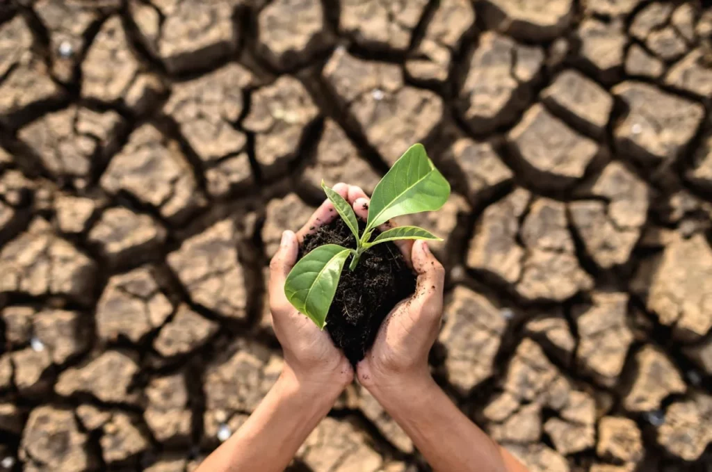 La tecnología, una herramienta crucial contra el cambio climático